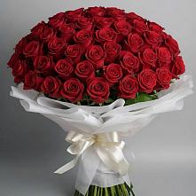 Букет 101 Красная роза Блэк Мэджик #REPLACE_PRED# Глотовке