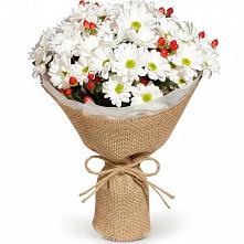 Букет цветов из:  Хризантемы #REPLACE_PRED# Глотовке