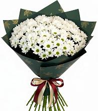 Букет цветов из:  Хризантемы #REPLACE_PRED# Глотовке