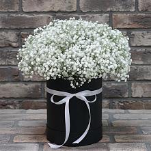 Цветочная композиция из Гипсофила в шляпной коробке #REPLACE_PRED# Глотовке