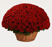 Премиум букет из: Розы #REPLACE_PRED# Глотовке