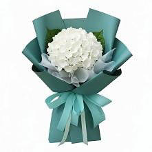 Букет цветов из:  Гортензия #REPLACE_PRED# Глотовке